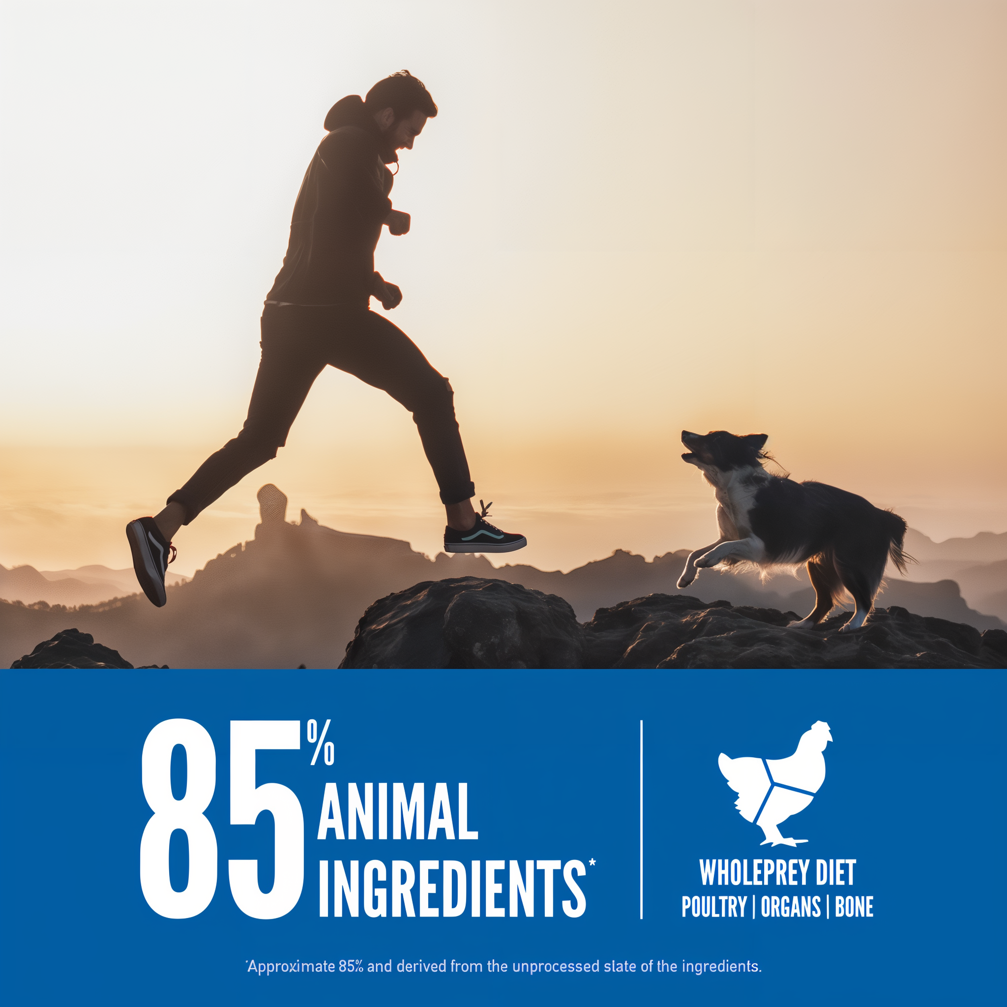 A person and dog leaping across mountain rocks at sunset beside an 85 percent animal ingredients WholePrey diet callout of poultry, organs and bone