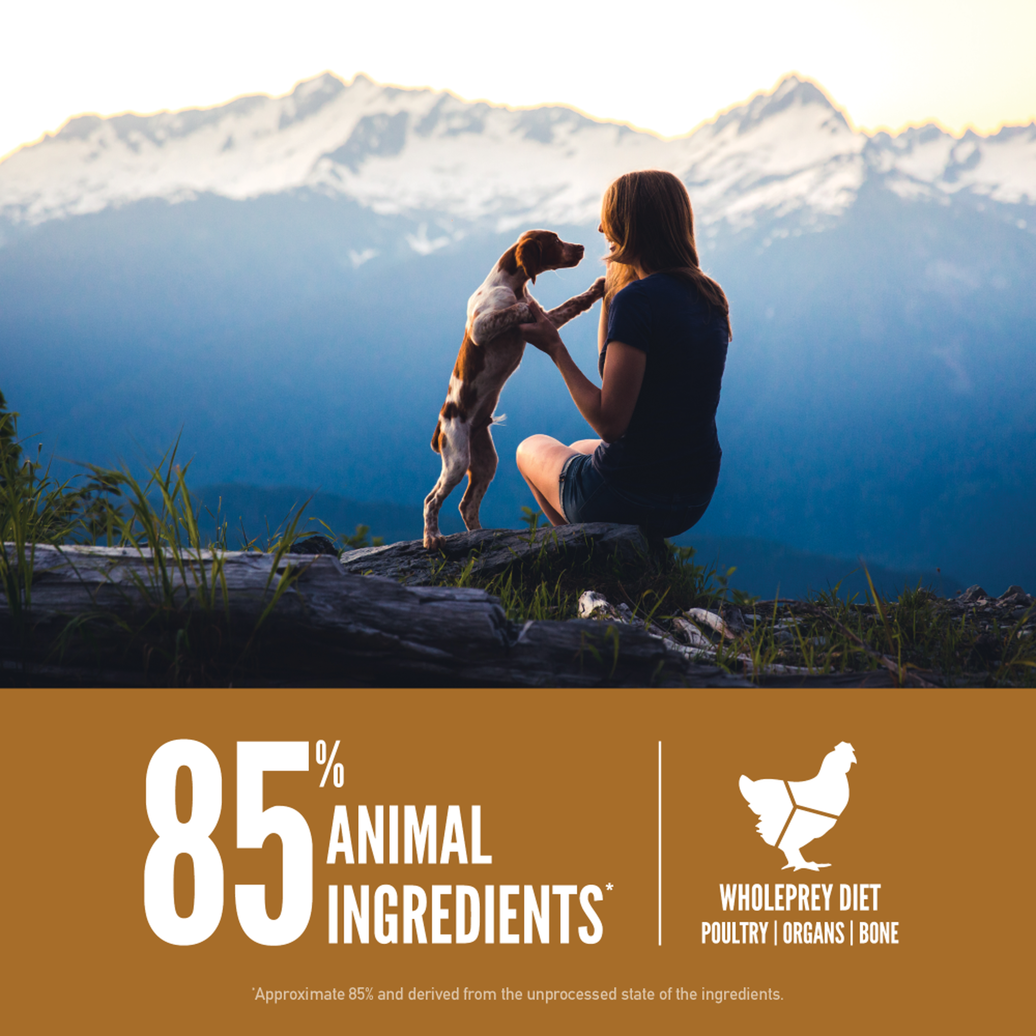 A woman and puppy on a mountain ridge at dusk beside an 85 percent animal ingredients WholePrey diet callout of poultry, organs and bone