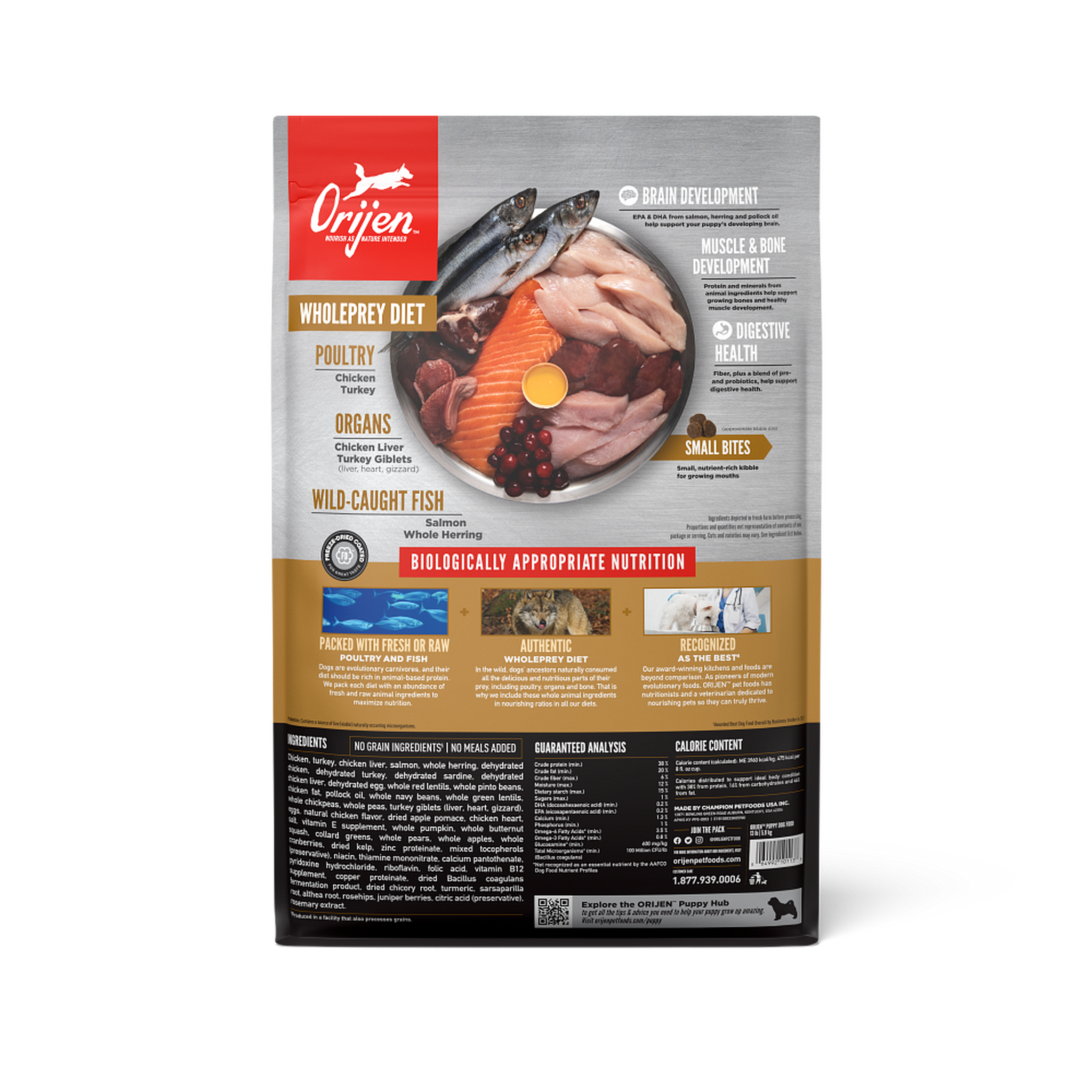 Back of the ORIJEN Puppy dry dog food bag showing the WholePrey plate of poultry, organs and wild-caught fish, plus brain, muscle and bone, and digestive health callouts and the ingredients, guaranteed analysis and calorie content panels