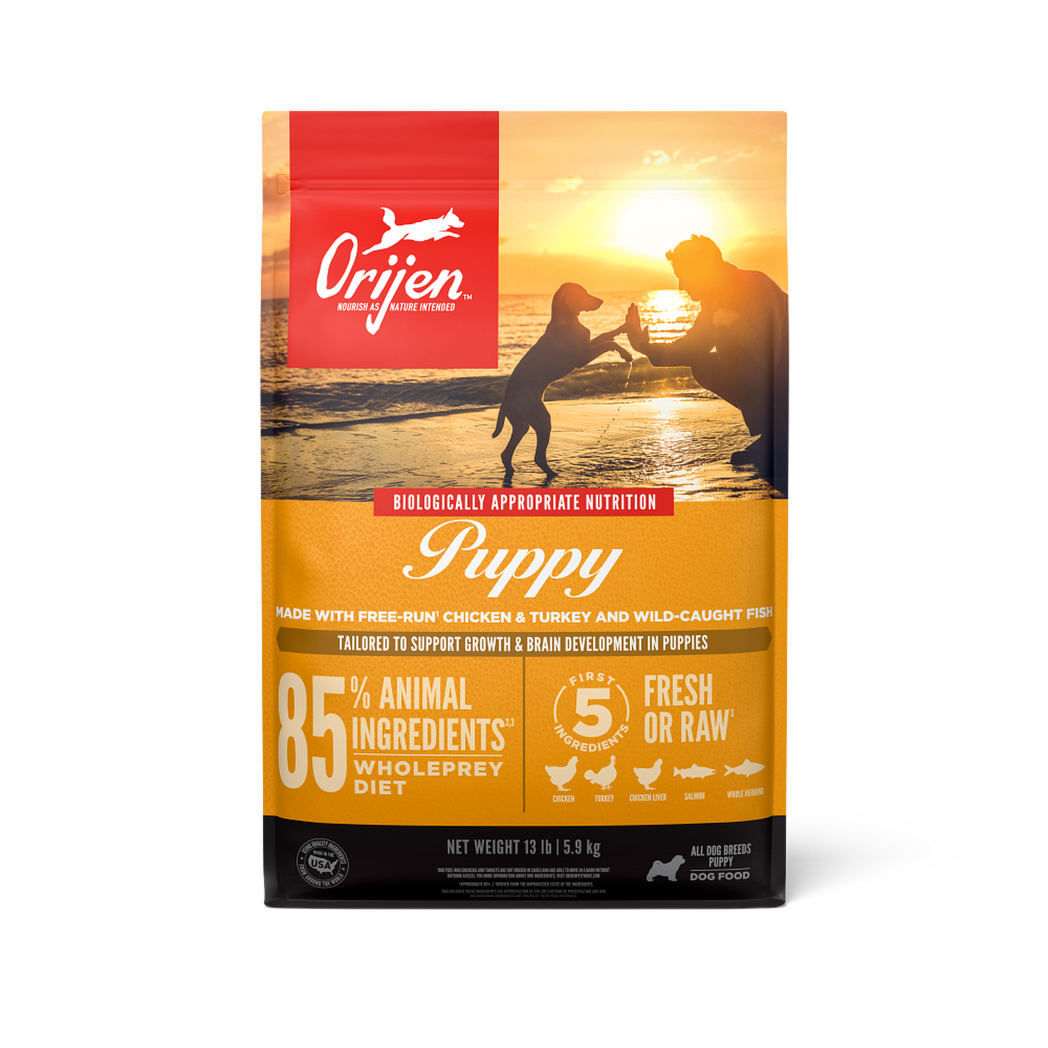 Front of the ORIJEN Puppy dry dog food bag showing a puppy and person high-fiving on a beach at sunset, with Biologically Appropriate Nutrition, 85 percent animal ingredients WholePrey diet, and first 5 fresh or raw ingredients callouts #25 LB