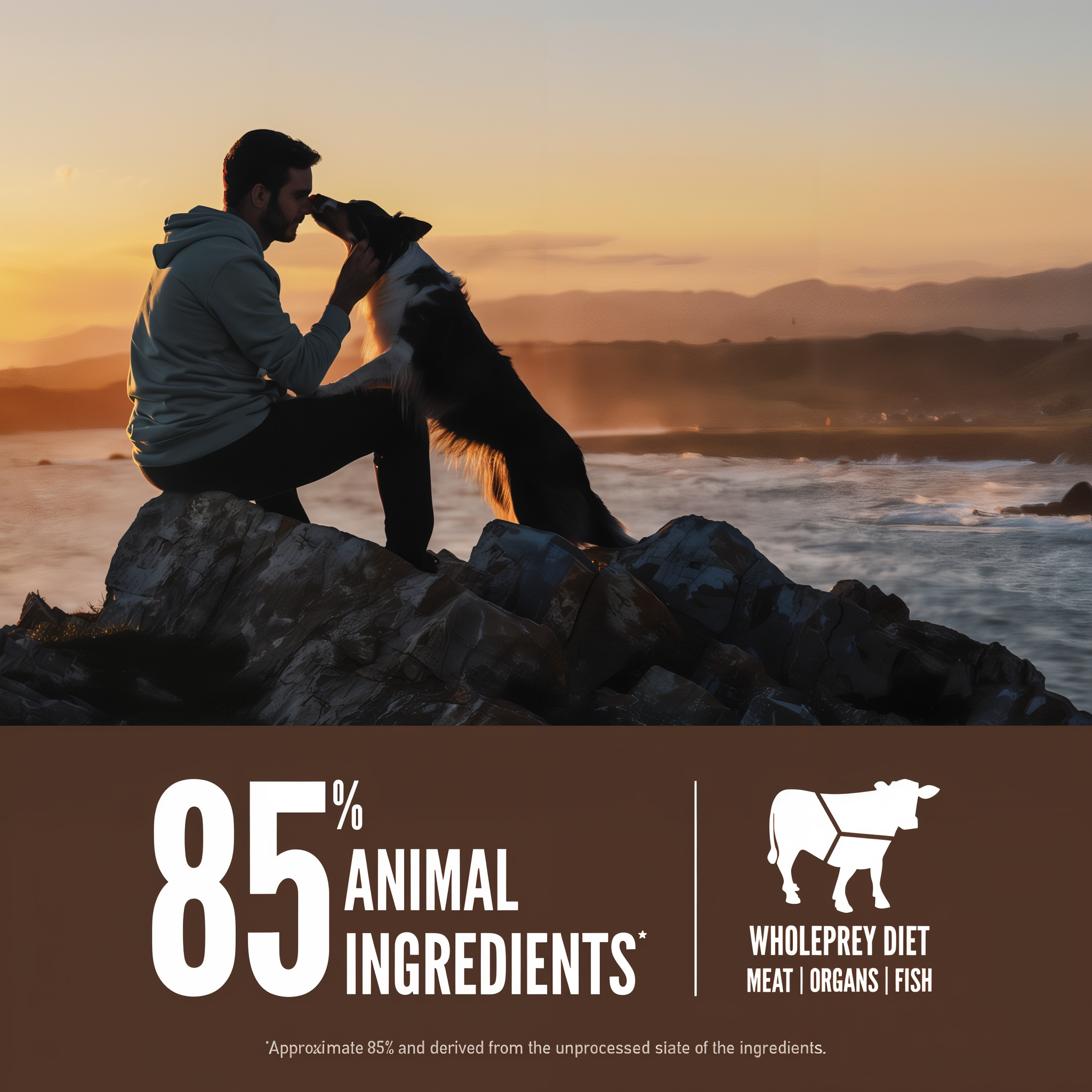 Man and border collie on coastal rocks at sunset beside 85% animal ingredients WholePrey diet callout for Orijen Regional Red