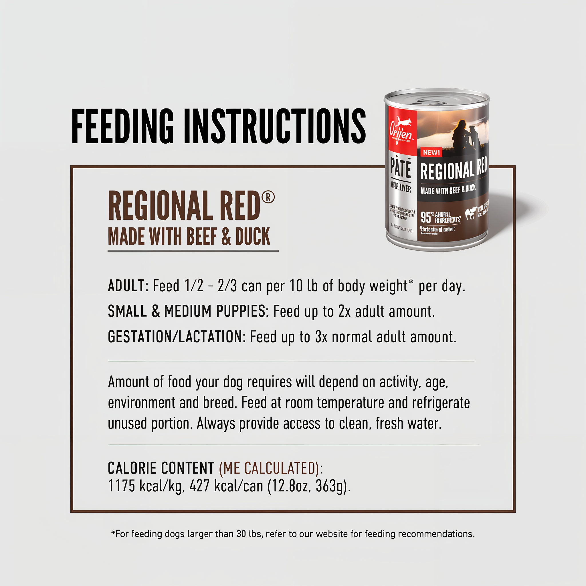 ORIJEN Regional Red Pâté feeding instructions for adult dogs, small and medium puppies, and gestation or lactation, with calorie content