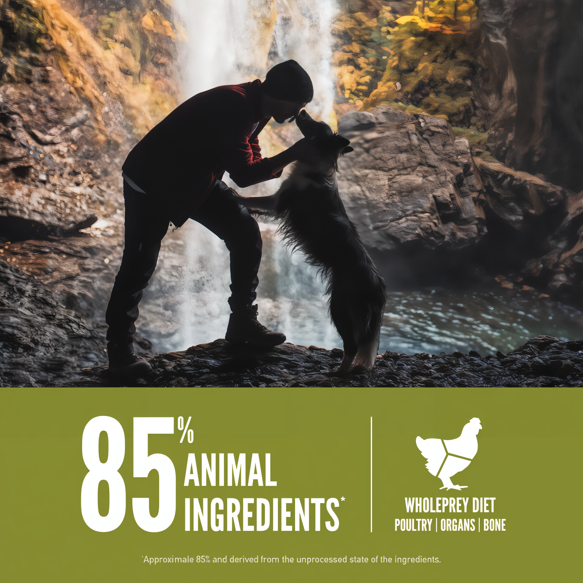Orijen Senior dry dog food made with 85 percent animal ingredients in a WholePrey diet of poultry, organs and bone, shown with a person and dog by a waterfall