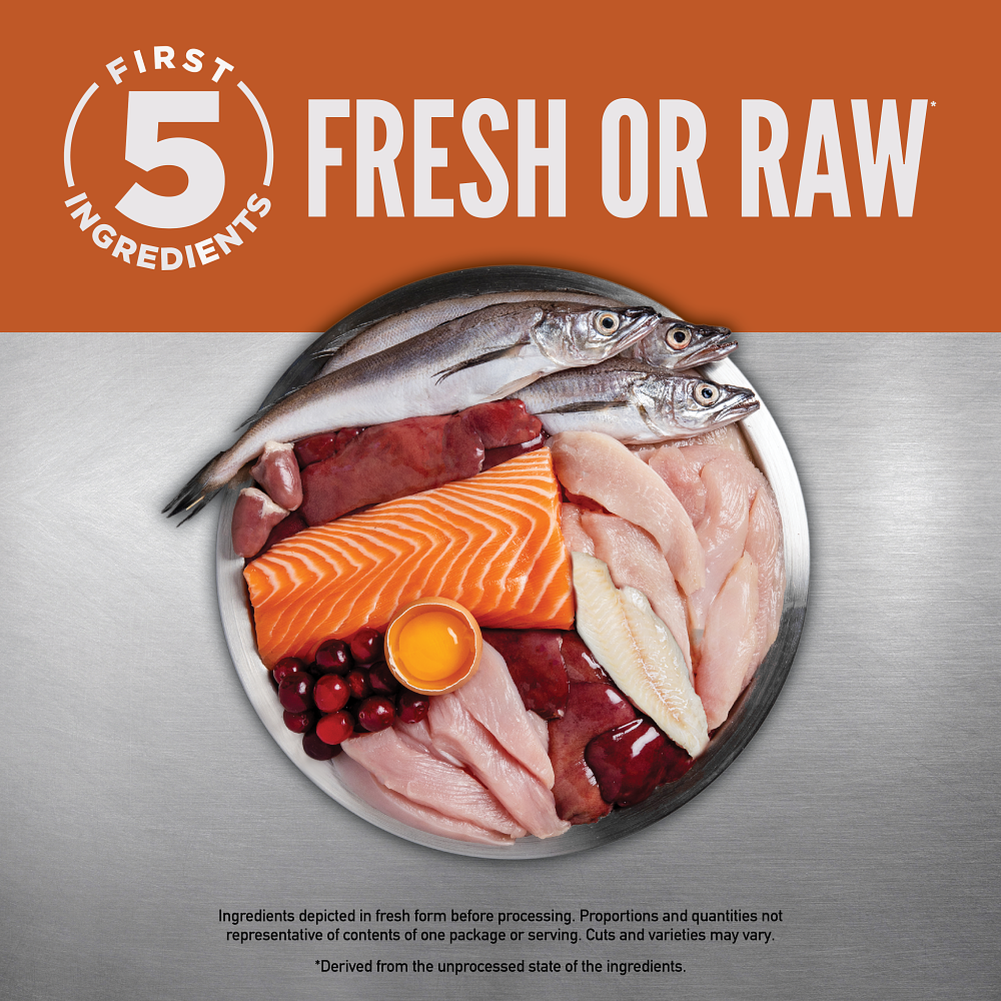 Stainless steel plate of the first five fresh or raw ingredients in ORIJEN Small Breed Puppy: whole whiting, salmon fillet, chicken, turkey, organs, egg yolk and cranberries