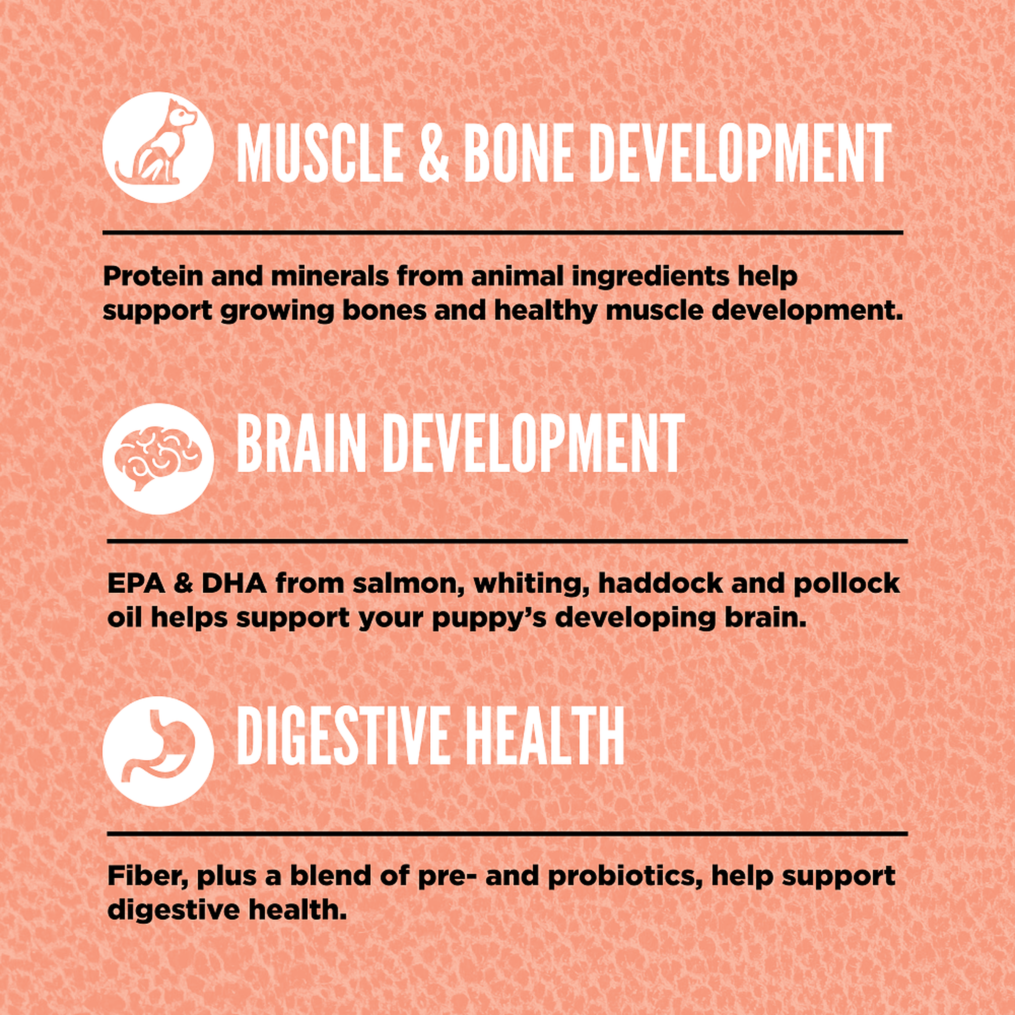 ORIJEN Small Breed Puppy benefits: animal protein and minerals for muscle and bone development, EPA and DHA from salmon, whiting, haddock and pollock oil for brain development, and fiber with pre- and probiotics for digestive health
