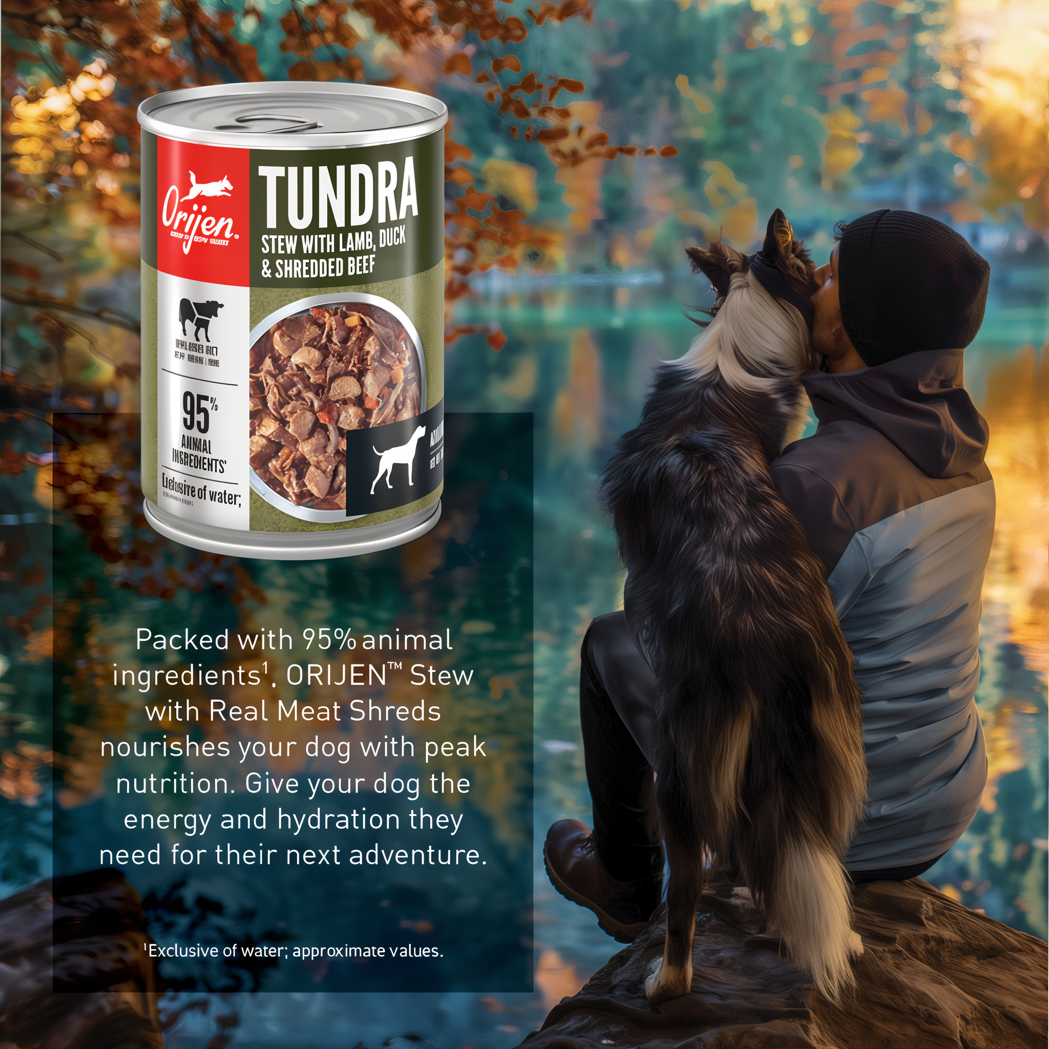 ORIJEN Tundra Stew can shown with a dog and owner by an autumn lake — energy and hydration for their next adventure