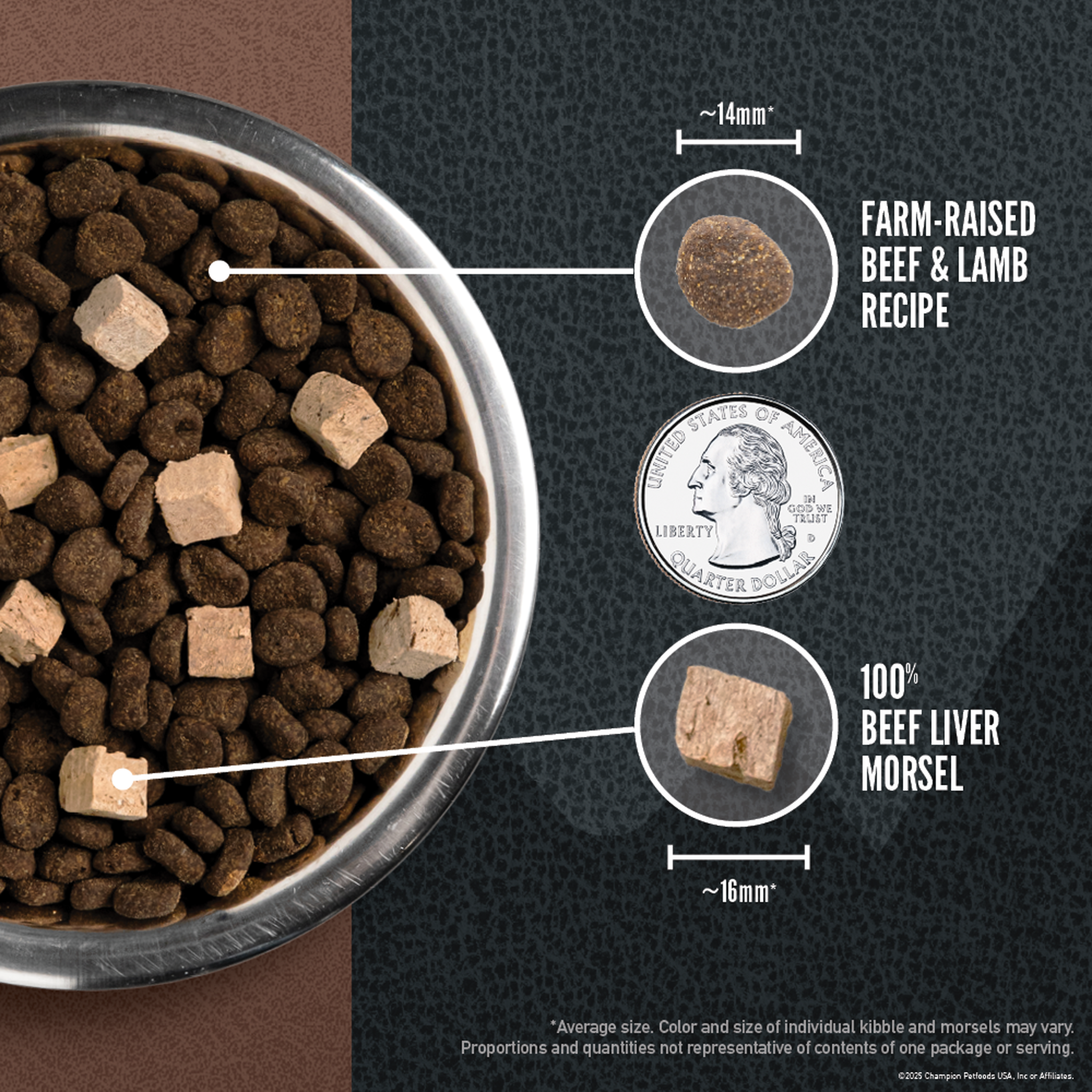 ORIJEN Wild Reserve Beef & Lamb kibble and freeze-dried beef liver morsels in a steel bowl next to a US quarter, showing the kibble at about 14 mm and the beef liver morsel at about 16 mm