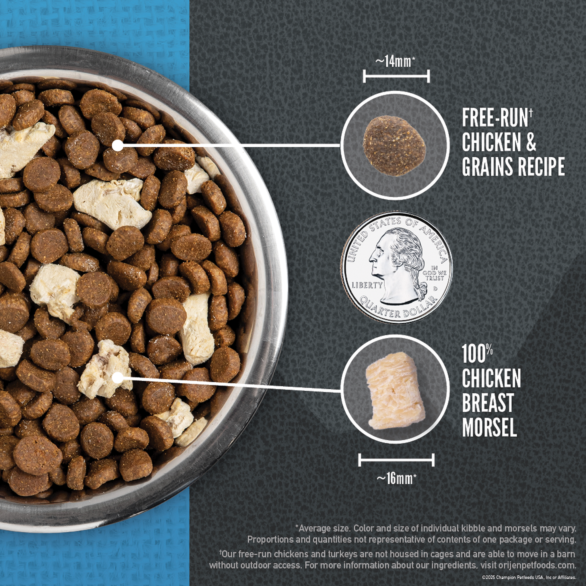 ORIJEN Wild Reserve kibble and freeze-dried chicken breast morsels in a bowl with a quarter for scale, kibble about 14 mm and morsel about 16 mm