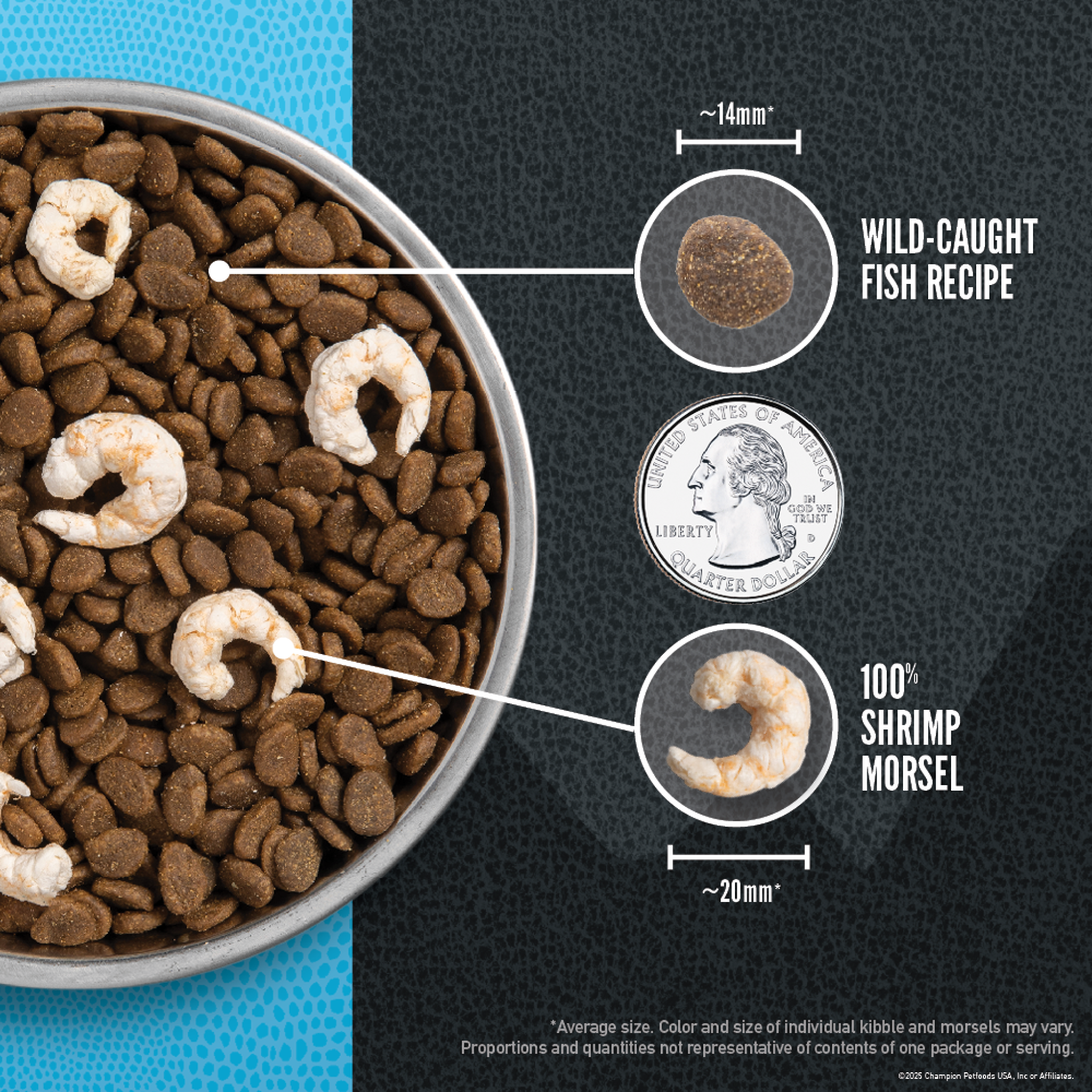 Bowl of Orijen Wild Reserve fish kibble with freeze-dried shrimp morsels shown next to a quarter for size