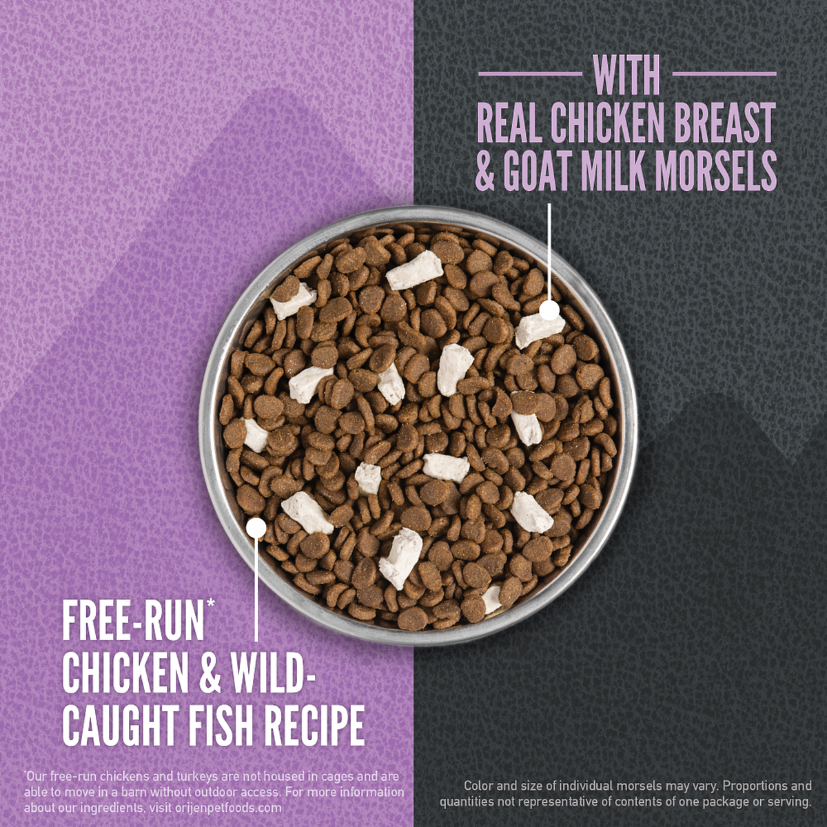 Stainless bowl of ORIJEN Wild Reserve Kitten kibble mixed with freeze-dried real chicken breast and goat milk morsels