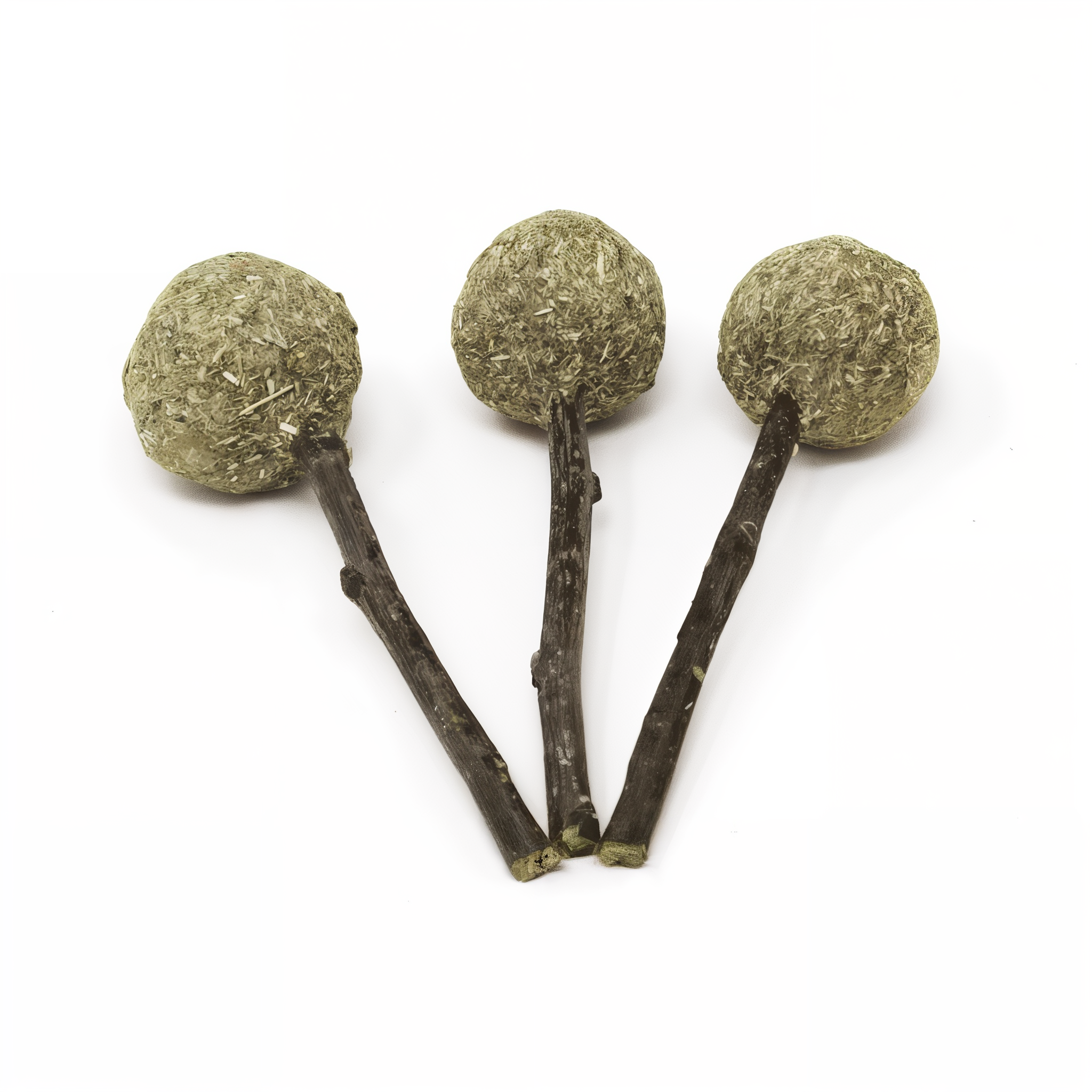Three Timmy Pops showing timothy hay tops and apple stick stems