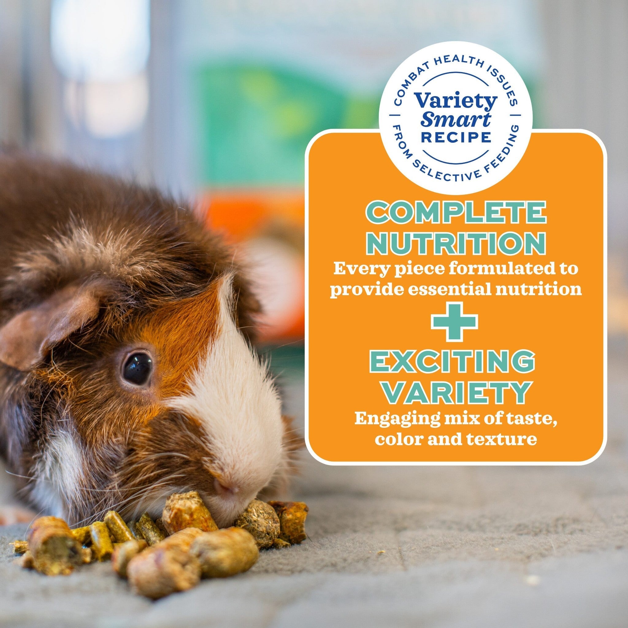 Guinea pig with Forage Wise food showing complete nutrition and exciting variety in every piece