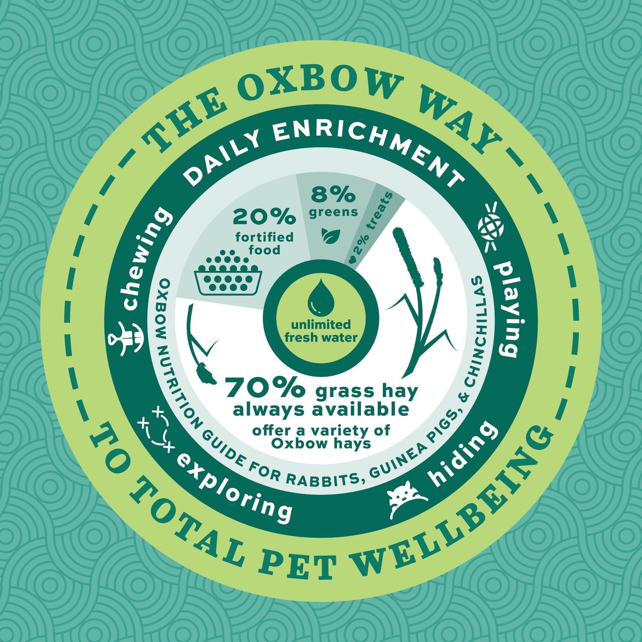 The Oxbow Way daily enrichment guide for rabbits, guinea pigs, and chinchillas