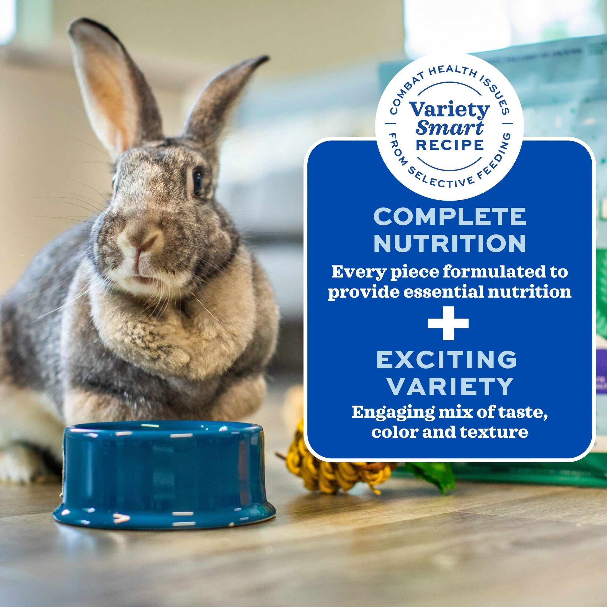 Rabbit beside a bowl of Forage Wise showing complete nutrition and exciting variety