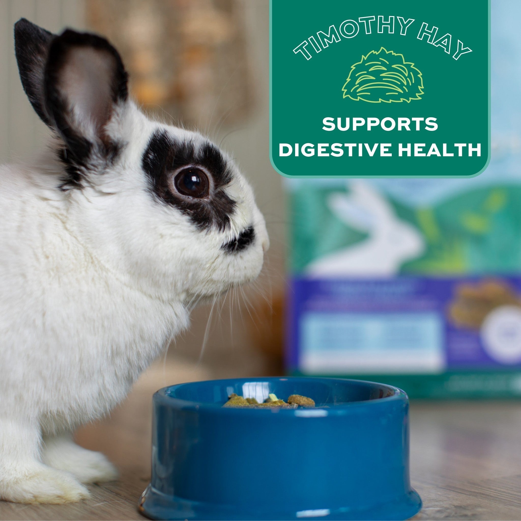 Rabbit eating Forage Wise, made with timothy hay to support digestive health