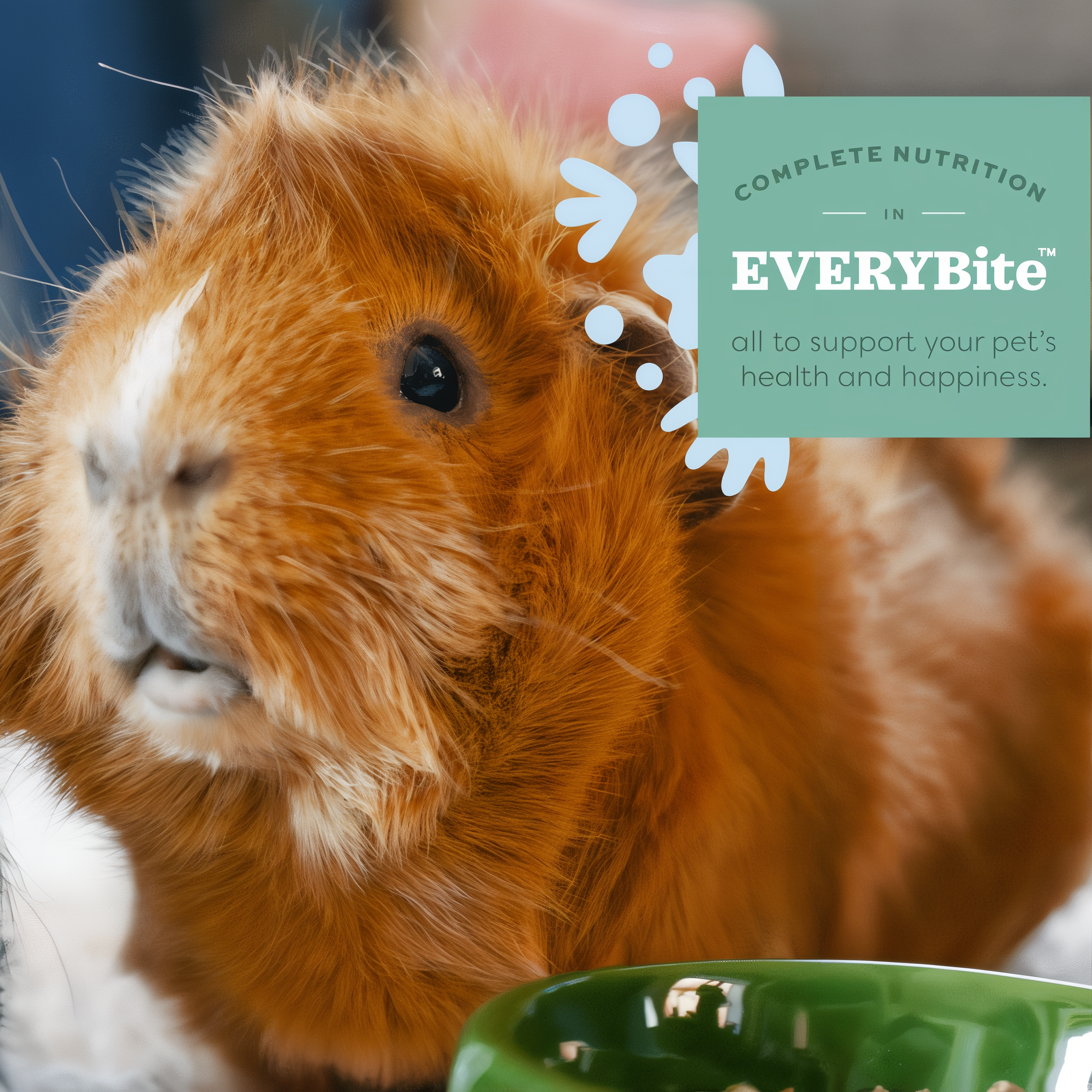Guinea pig with complete nutrition in EVERYBite