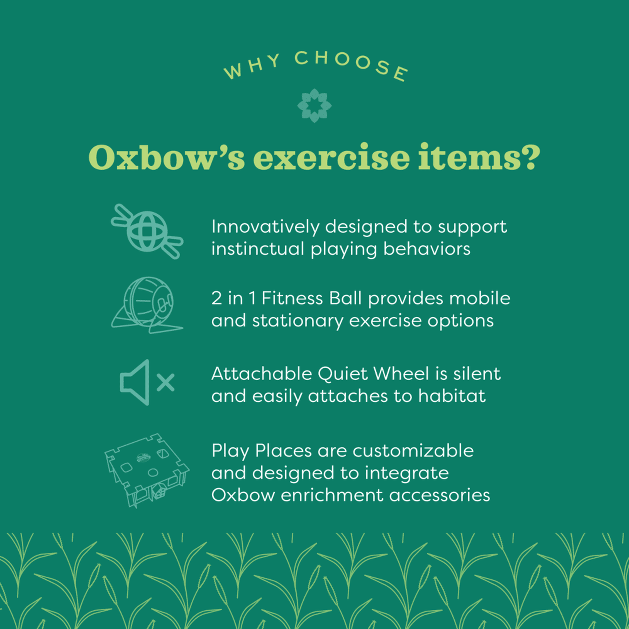 Why choose Oxbow exercise items