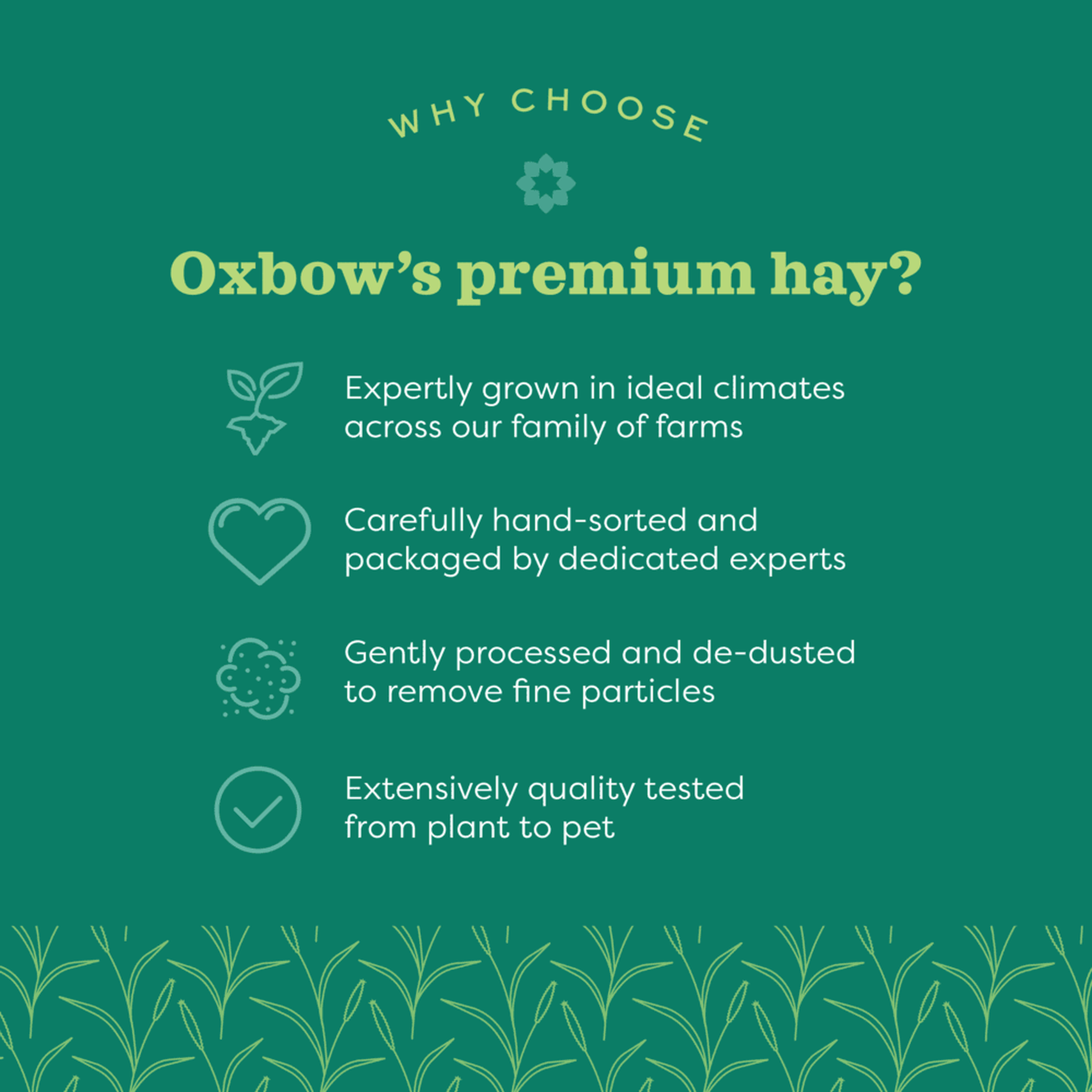 Why choose Oxbow premium hay