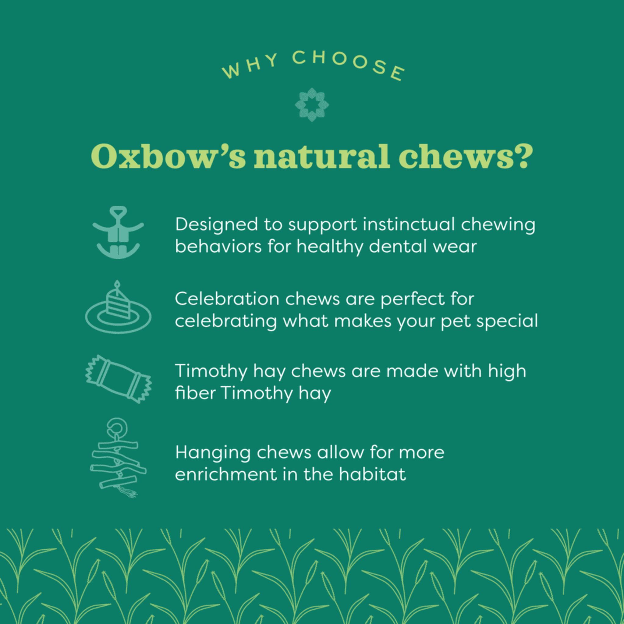 Why choose Oxbow natural chews