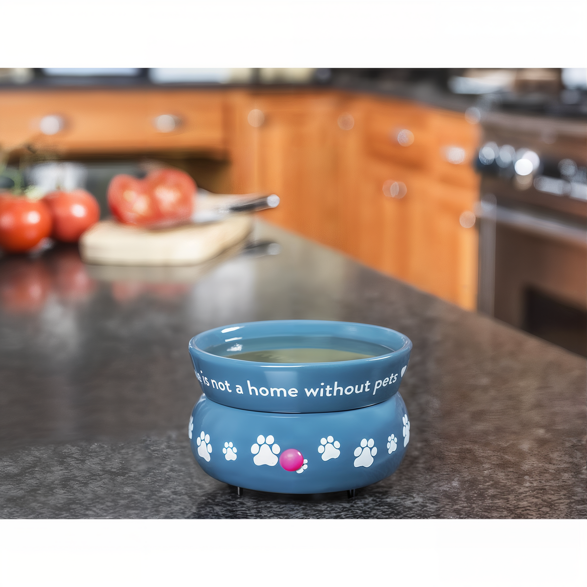 Pet House Electric Wax Warmer -- lifestyle kitchen