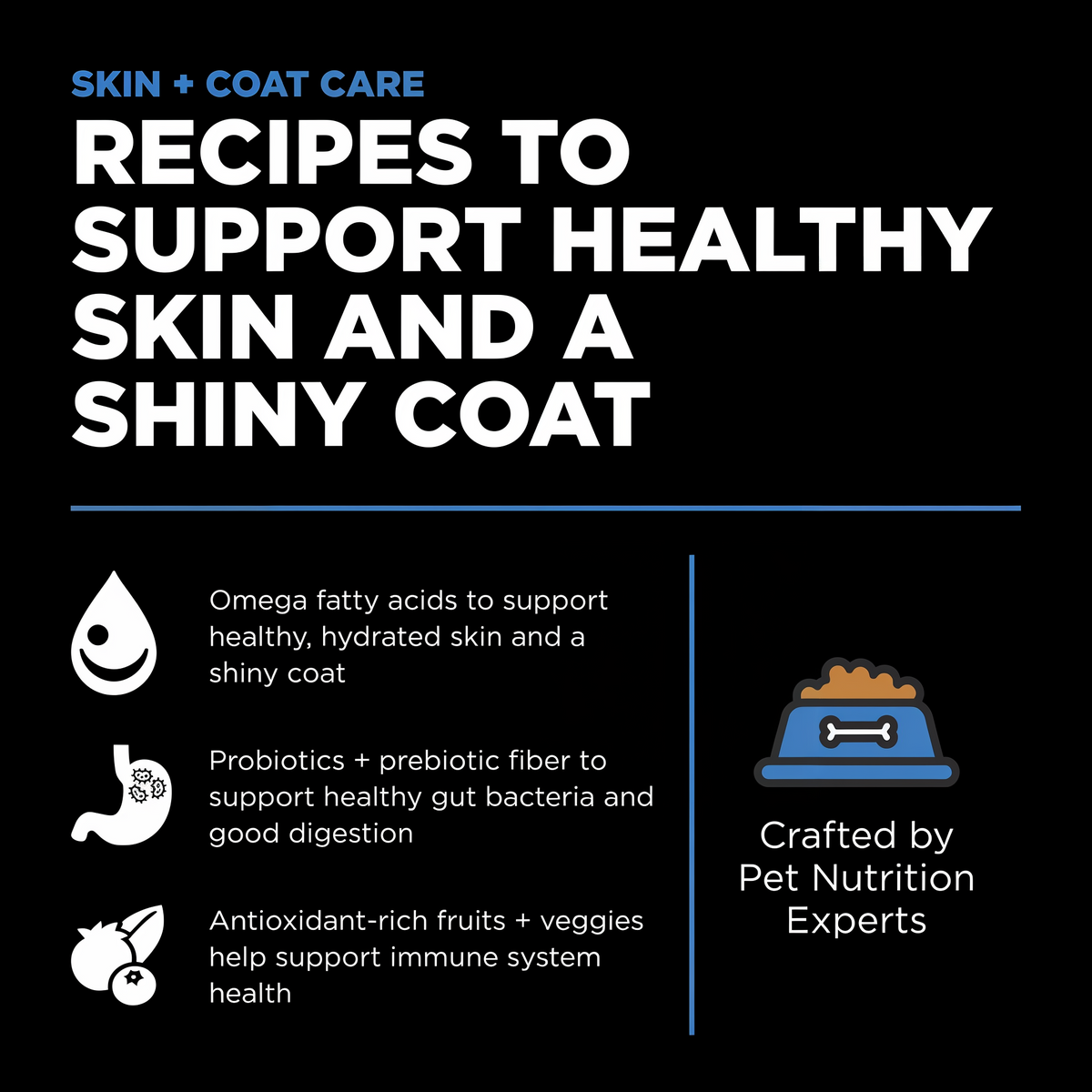 Go! Solutions Skin + Coat Care Chicken Recipe with Grains Dry Dog Food 22 lb -- other