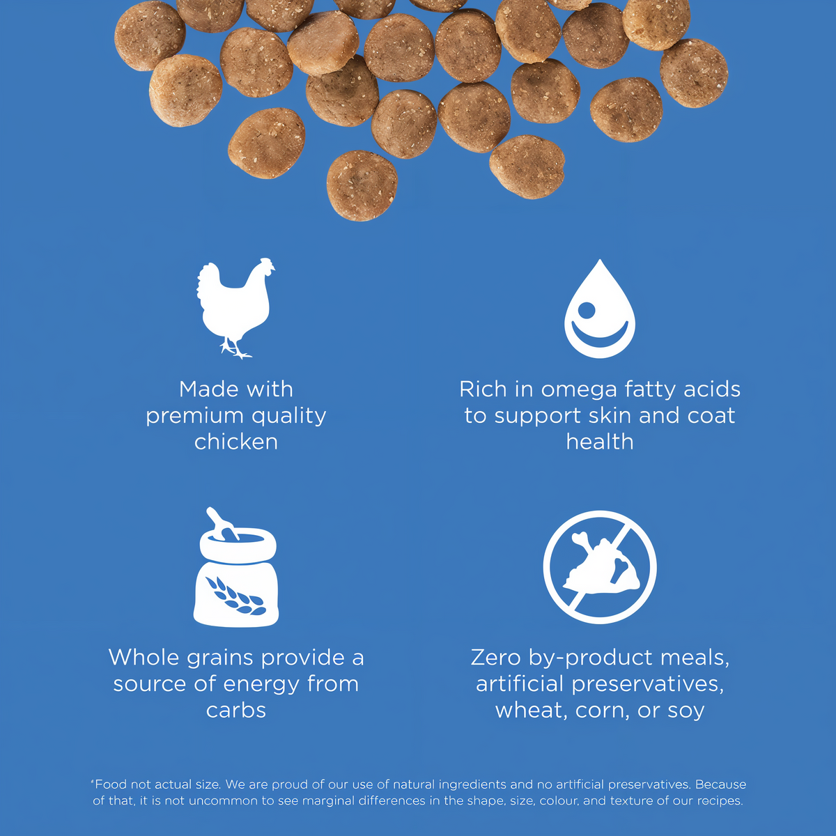 Go! Solutions Skin + Coat Care Chicken Recipe with Grains Dry Dog Food 22 lb -- other