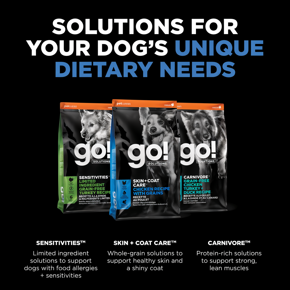 Go! Solutions Skin + Coat Care Chicken Recipe with Grains Dry Dog Food 22 lb -- other