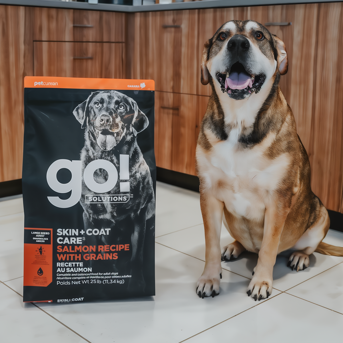 Go! Solutions Skin + Coat Care Large Breed Adult Salmon Recipe with Grains Dry Dog Food 25 lb -- lifestyle