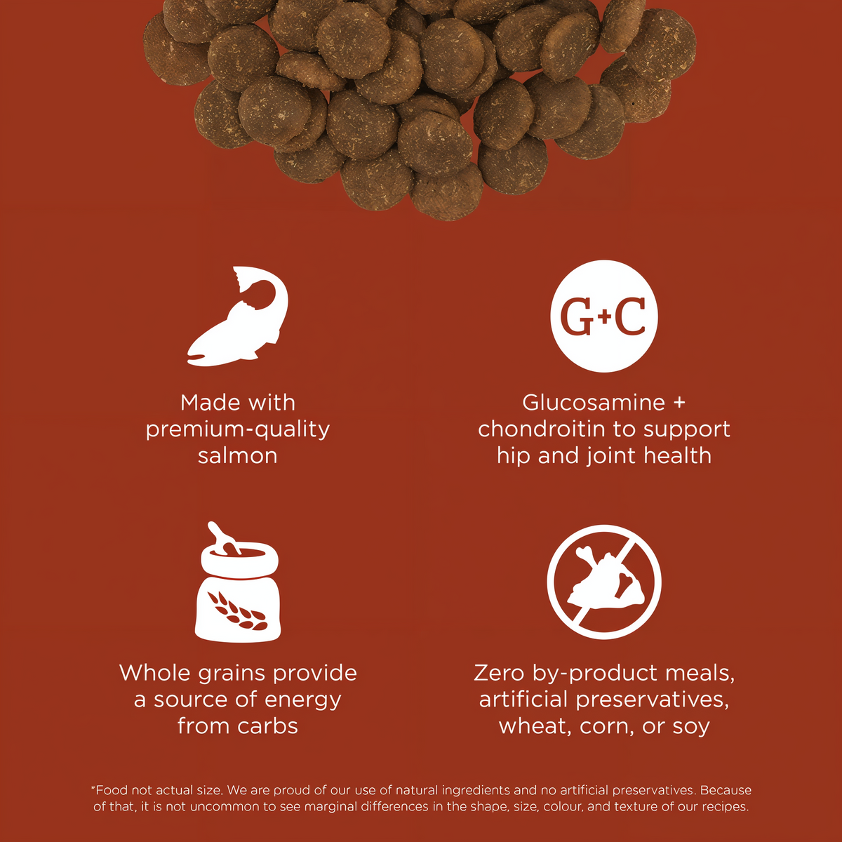 Go! Solutions Skin + Coat Care Large Breed Adult Salmon Recipe with Grains Dry Dog Food 25 lb -- other