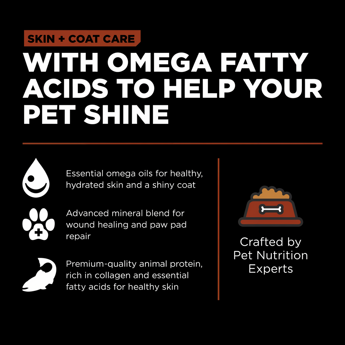 Go! Solutions Skin + Coat Care Large Breed Adult Salmon Recipe with Grains Dry Dog Food 25 lb -- other