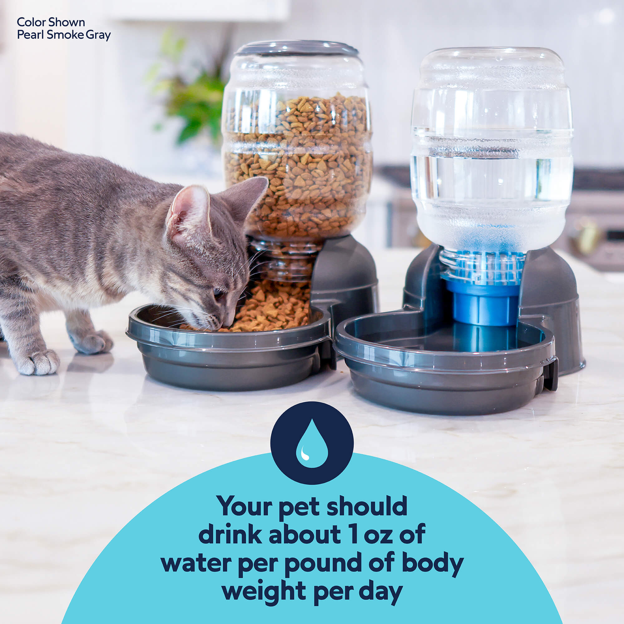 Cat eating beside a Replendish feeder and waterer: pets should drink about 1 oz of water per pound of body weight per day