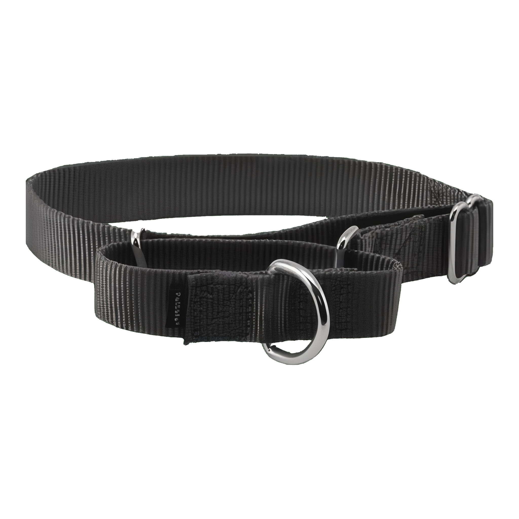 PetSafe Martingale Collar, medium size, in black. #Medium#Black