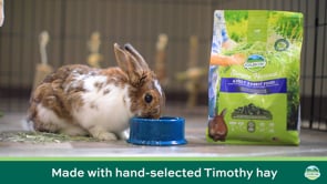 Oxbow Simple Harvest Adult Guinea Pig Food product video