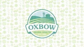Oxbow Enriched Life 2 in 1 Quiet Runner product video