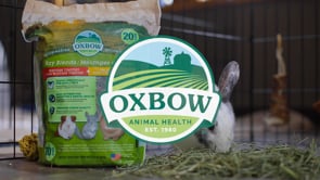 Oxbow Hay Blends Western Timothy and Orchard product video
