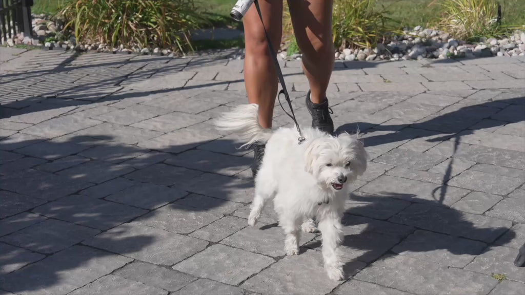 Goo-eez Throwaways poop bag dispenser in use: twist, pull and go