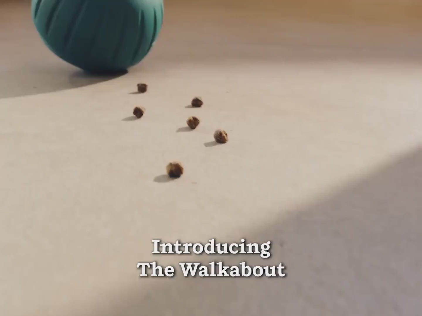 See the Woof Walkabout in action