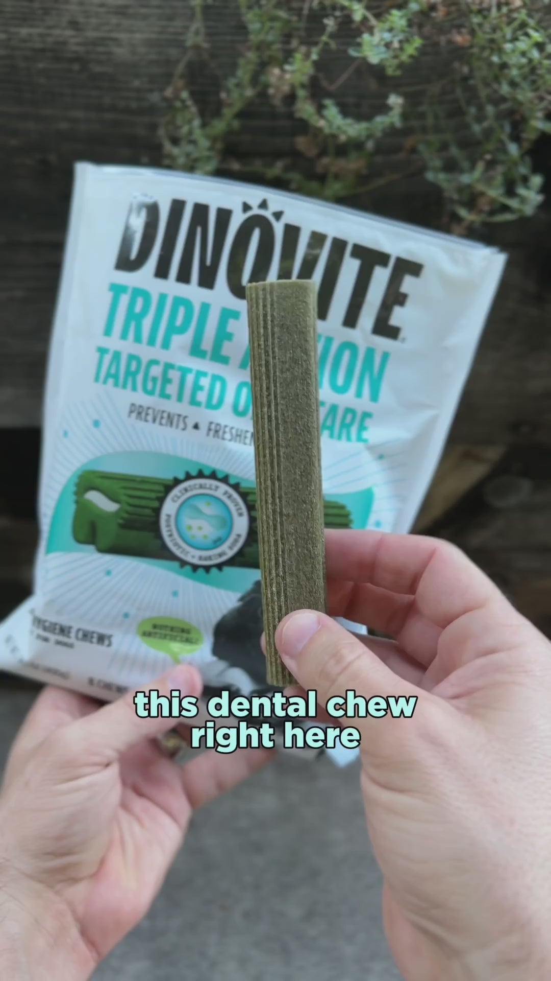 Dinovite Dental Chews customer review video with James part 2