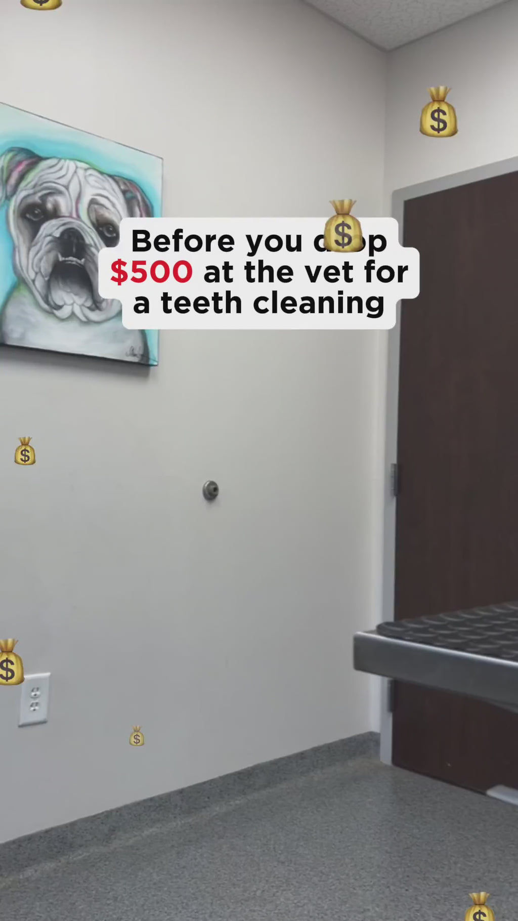Dinovite Dental Chews customer review video of dog enjoying a chew
