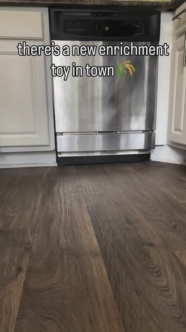 Woof LickWells makes nail trims easier