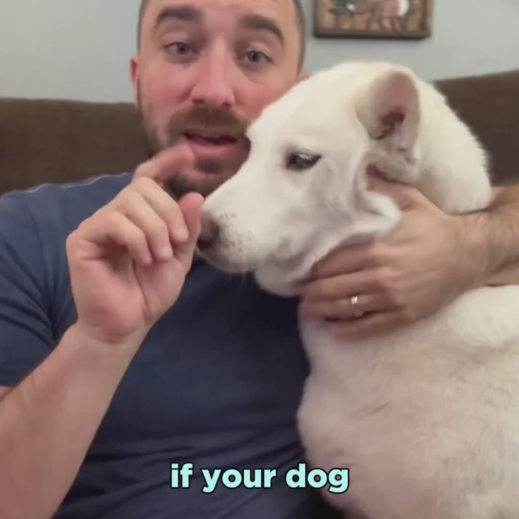 Dinovite Dental Chews customer review video with James part 1