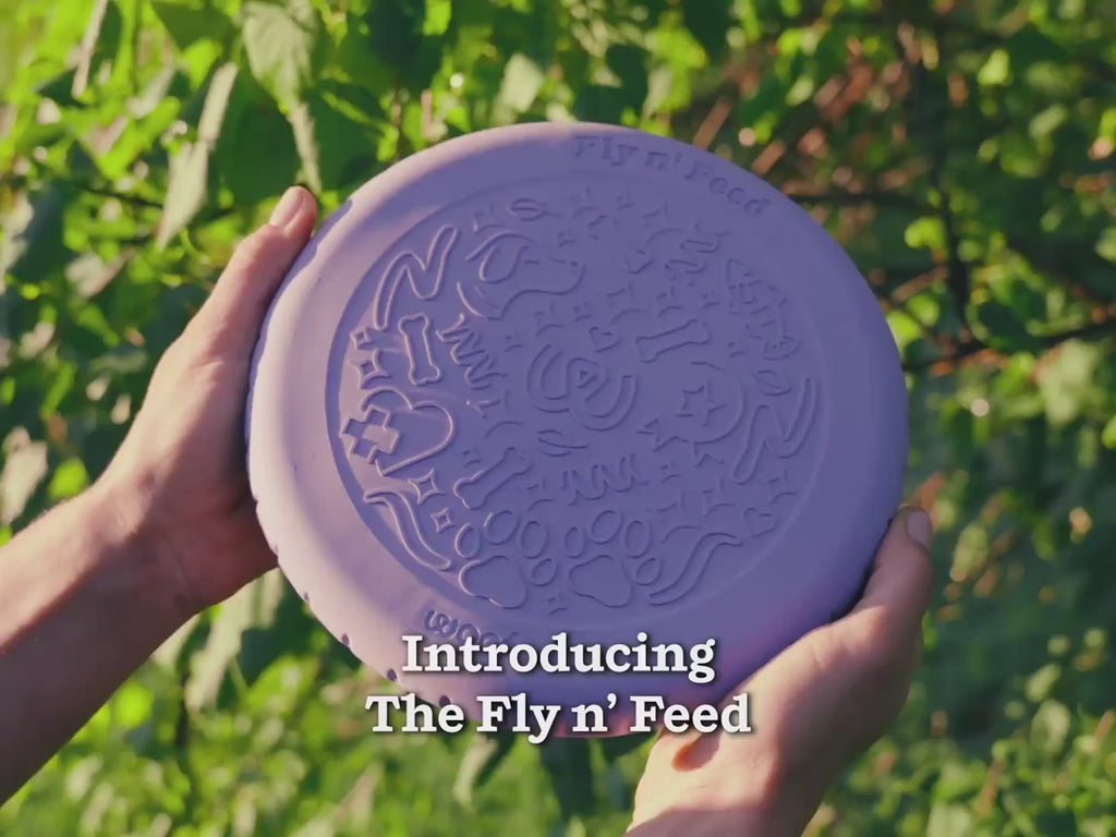 See the Woof Fly n' Feed in action