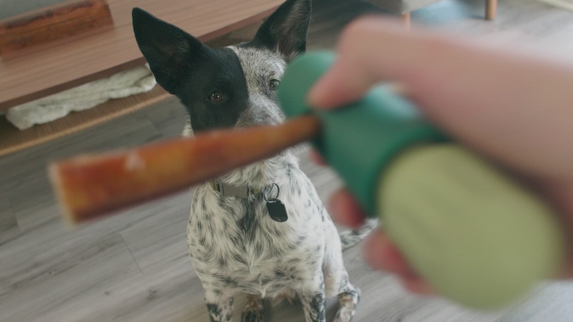 How the Woof BullySafe system works