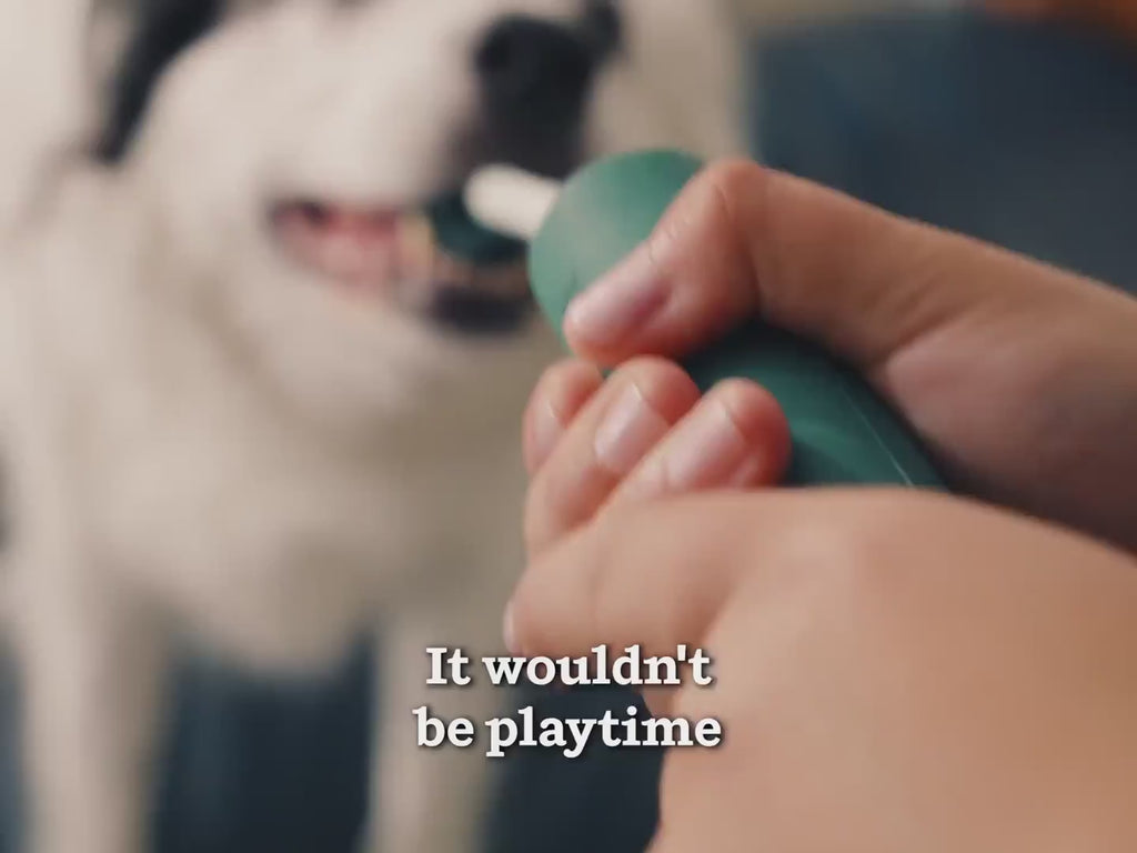 See the Woof Nomchucks in action
