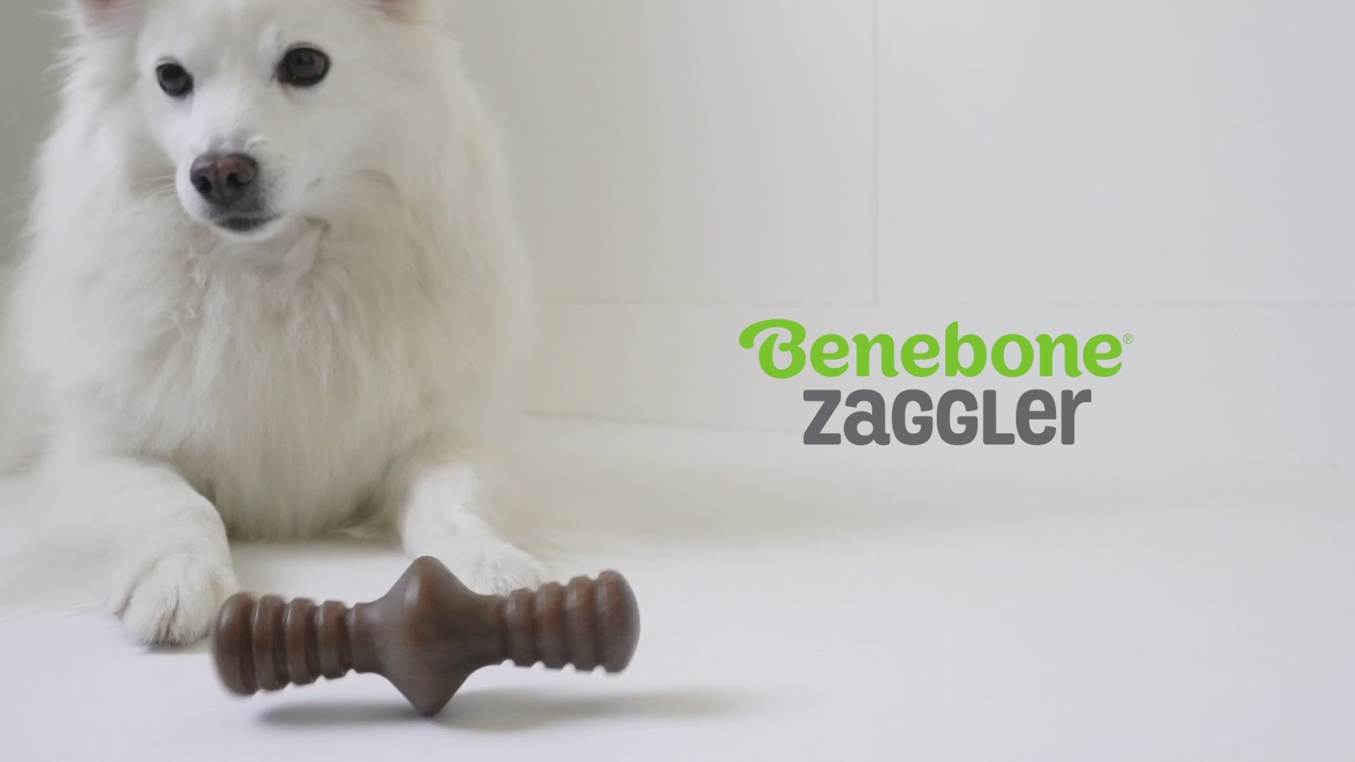 Benebone Zaggler rolling chew toy in action