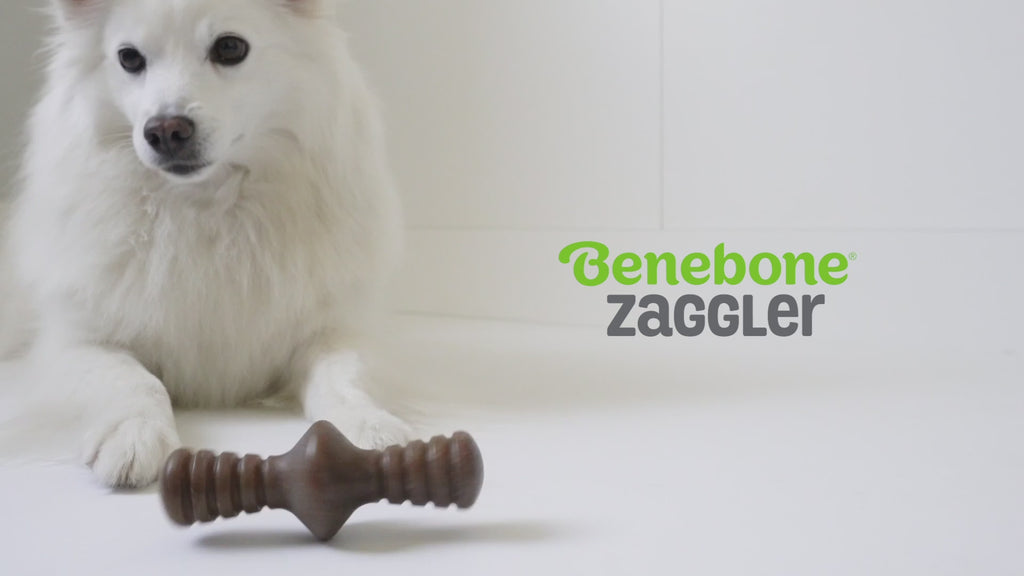 Benebone Zaggler rolling chew toy in action