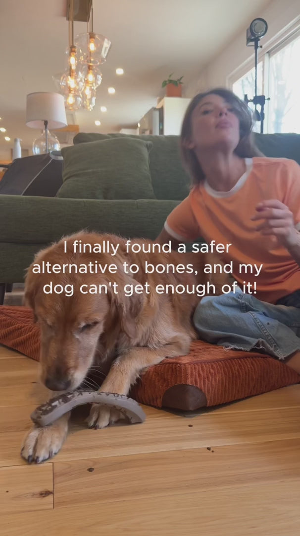 Woof HonestChew Meaty chew time