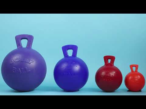 Jolly Pets Tug-n-Toss Dog Toy