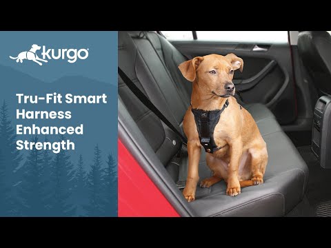 Kurgo Tru-Fit Enhanced Strength crash-tested harness overview