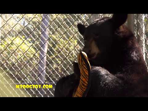Tuffy Dog Toys - How are they Made (Infomercial)